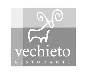 Professional IT startup identity logo